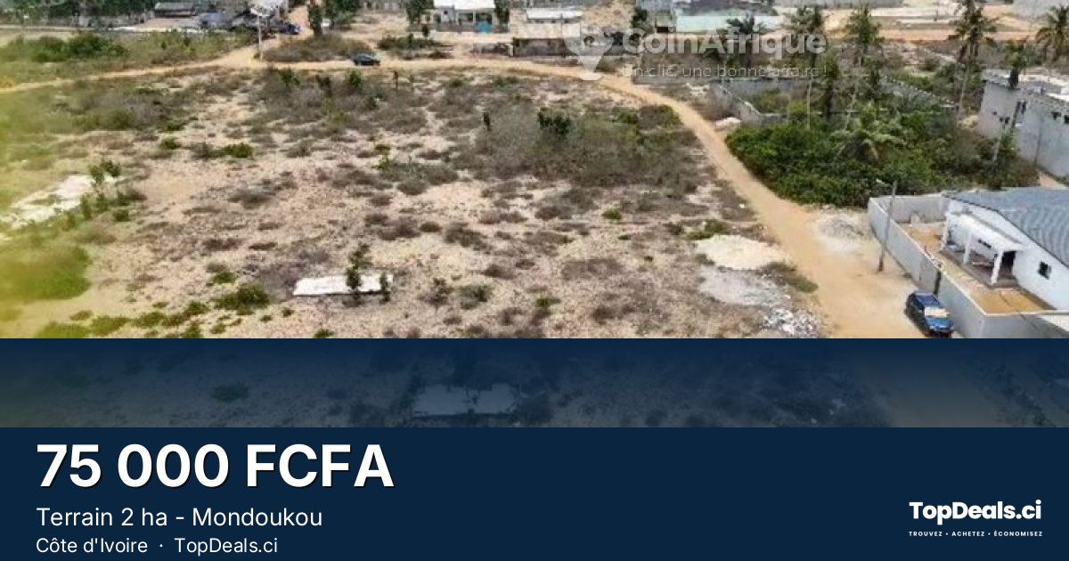 Aperçu du partage – Terrain 2 ha - Mondoukou