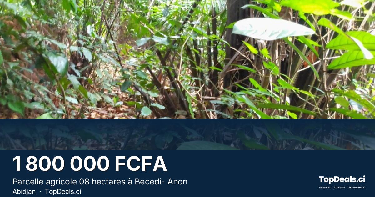 Aperçu du partage – Parcelle agricole 08 hectares à Becedi- Anon