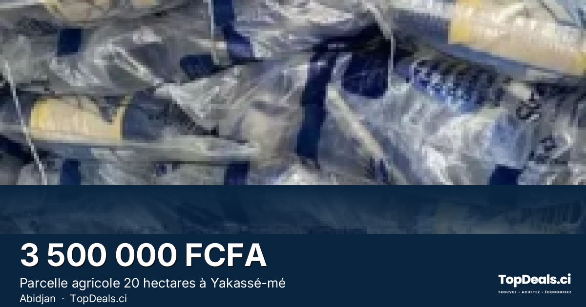 Aperçu du partage – Parcelle agricole 20 hectares à Yakassé-mé