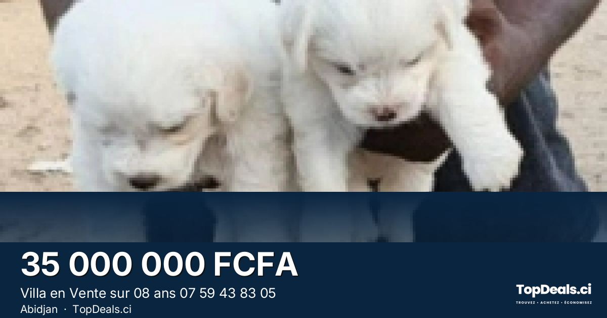 Aperçu du partage – Villa en Vente sur 08 ans 07 59 43 83 05