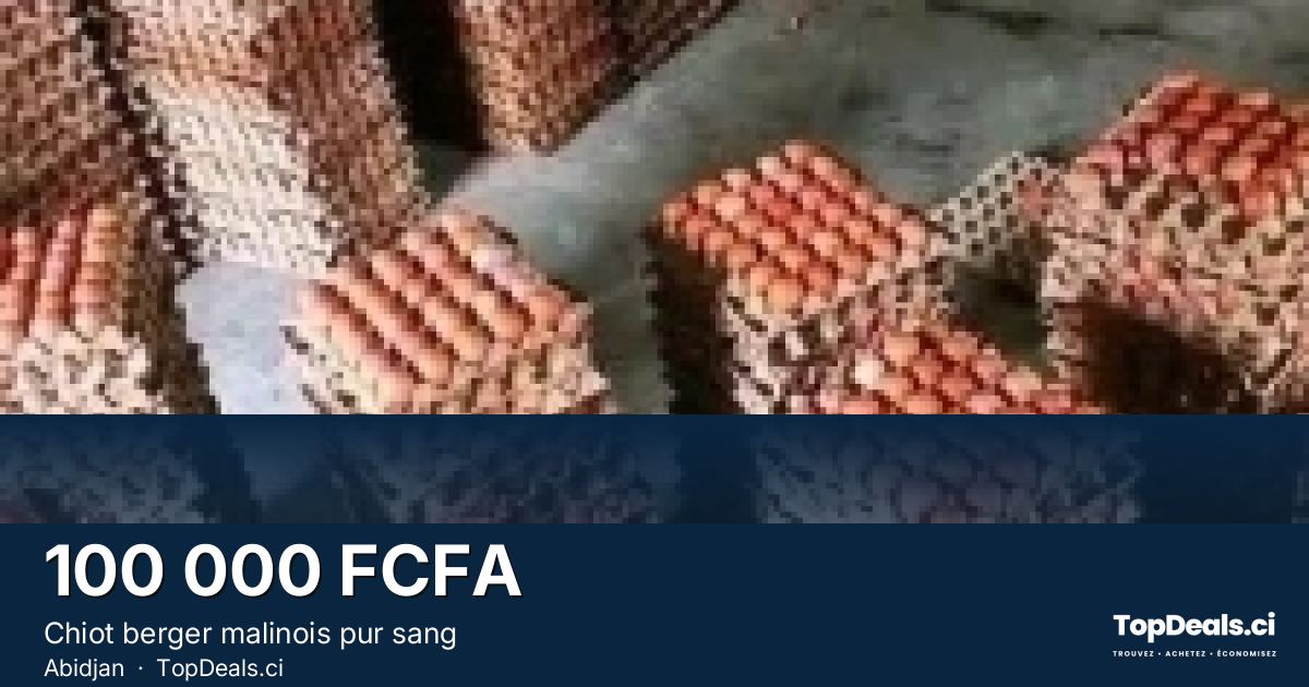 Aperçu du partage – Chiot berger malinois pur sang