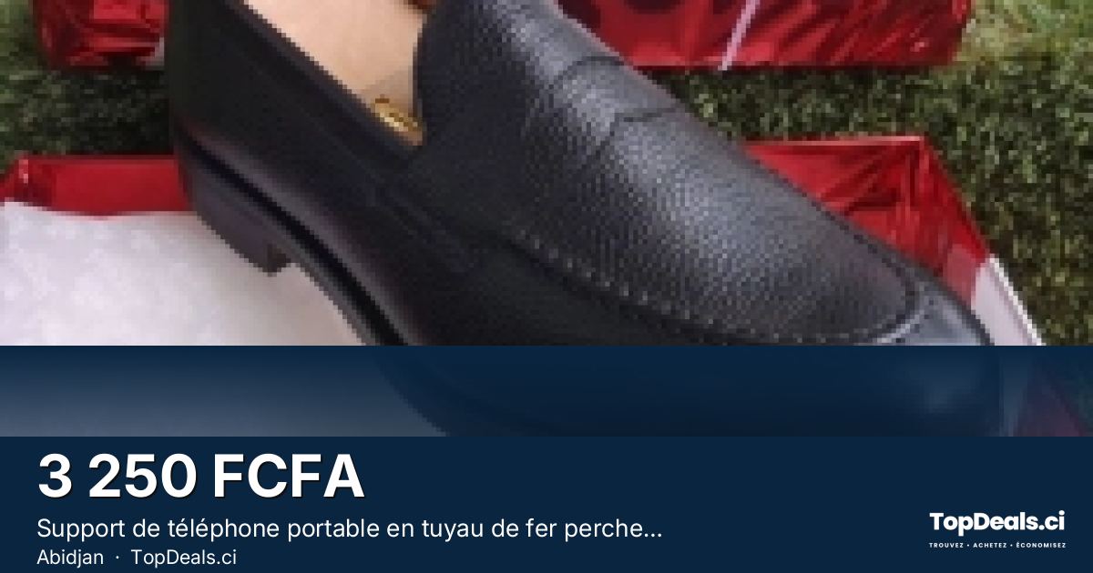Aperçu du partage – Support de téléphone portable en tuyau de fer perche à selfie sans fil trépied