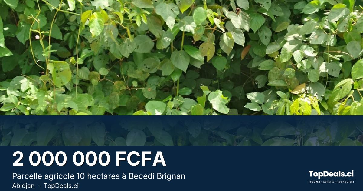 Aperçu du partage – Parcelle agricole 10 hectares à Becedi Brignan