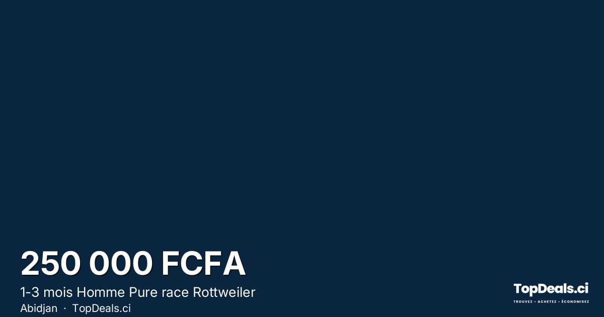 Aperçu du partage – 1-3 mois Homme Pure race Rottweiler