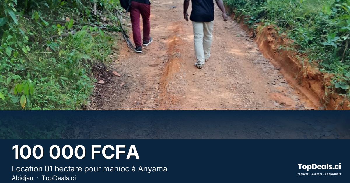 Aperçu du partage – Location 01 hectare pour manioc à Anyama