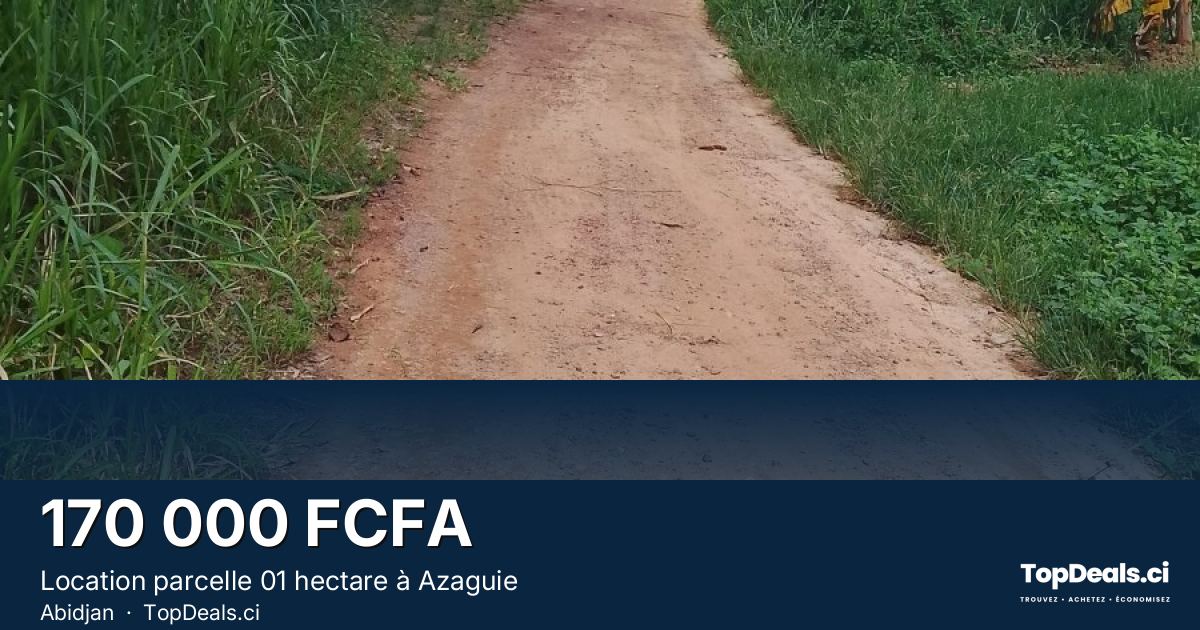 Aperçu du partage – Location parcelle 01 hectare à Azaguie