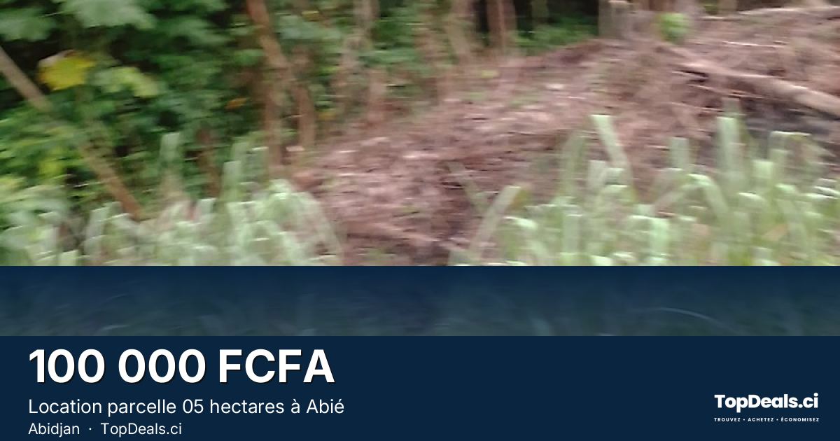 Aperçu du partage – Location parcelle 05 hectares à Abié