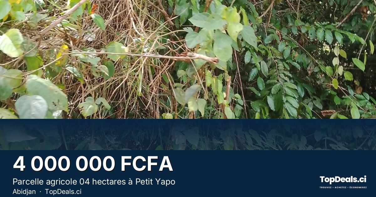 Aperçu du partage – Parcelle agricole 04 hectares à Petit Yapo