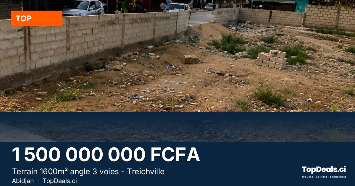 Aperçu du partage – Terrain 1600m² angle 3 voies - Treichville