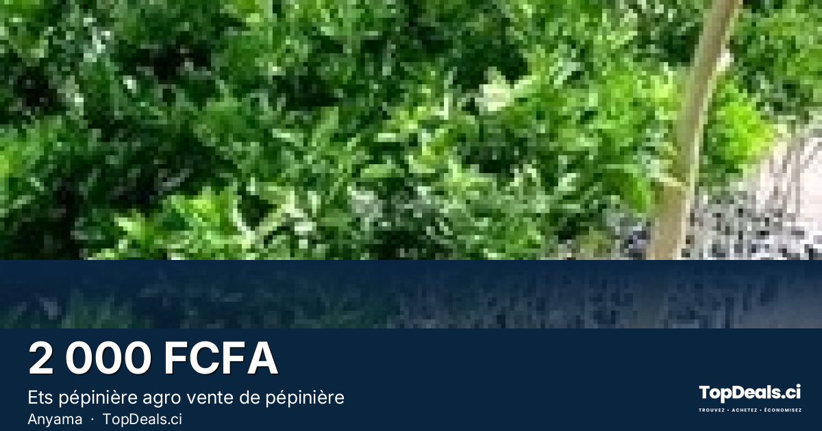 Aperçu du partage – Ets pépinière agro vente de pépinière