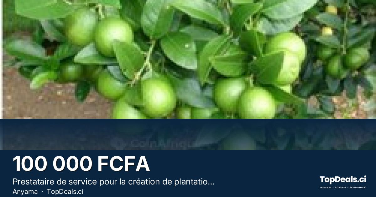 Aperçu du partage – Prestataire de service pour la création de plantations