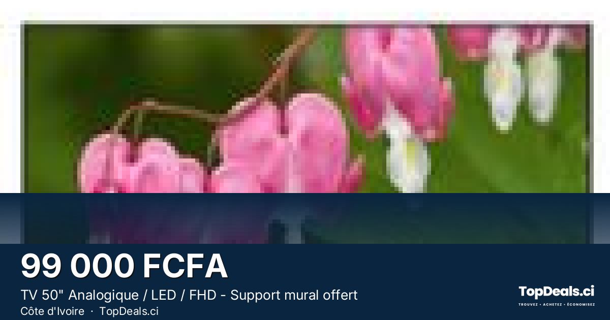 Aperçu du partage – TV 50" Analogique / LED / FHD - Support mural offert