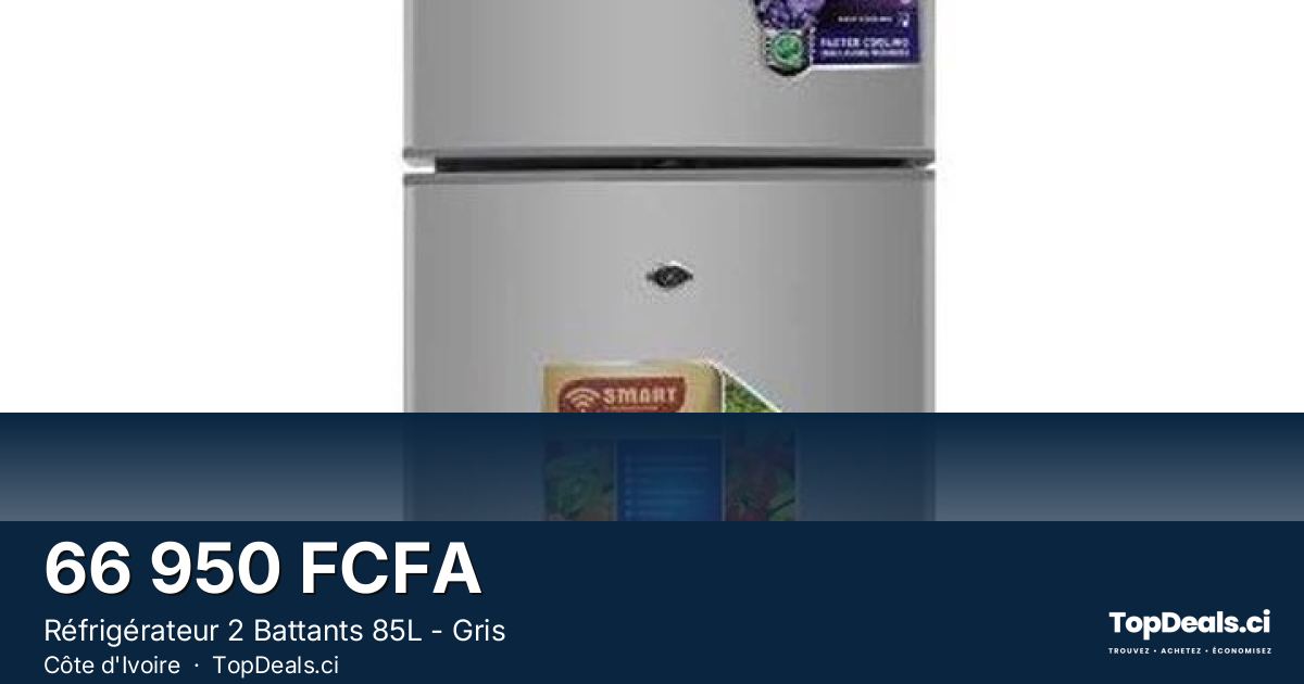 Aperçu du partage – Réfrigérateur 2 Battants 85L - Gris