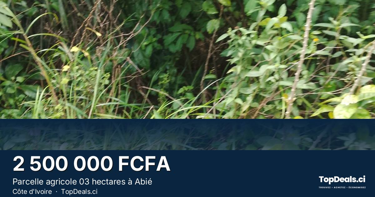 Aperçu du partage – Parcelle agricole 03 hectares à Abié