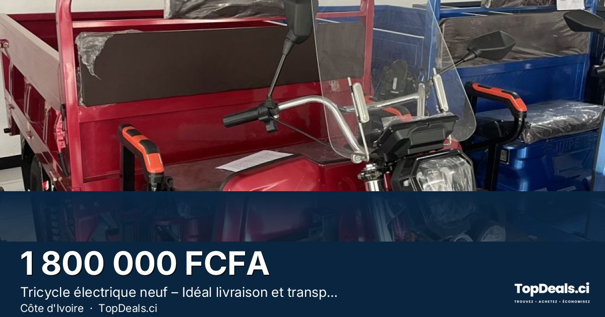 Aperçu du partage – Tricycle électrique neuf – Idéal livraison et transport »