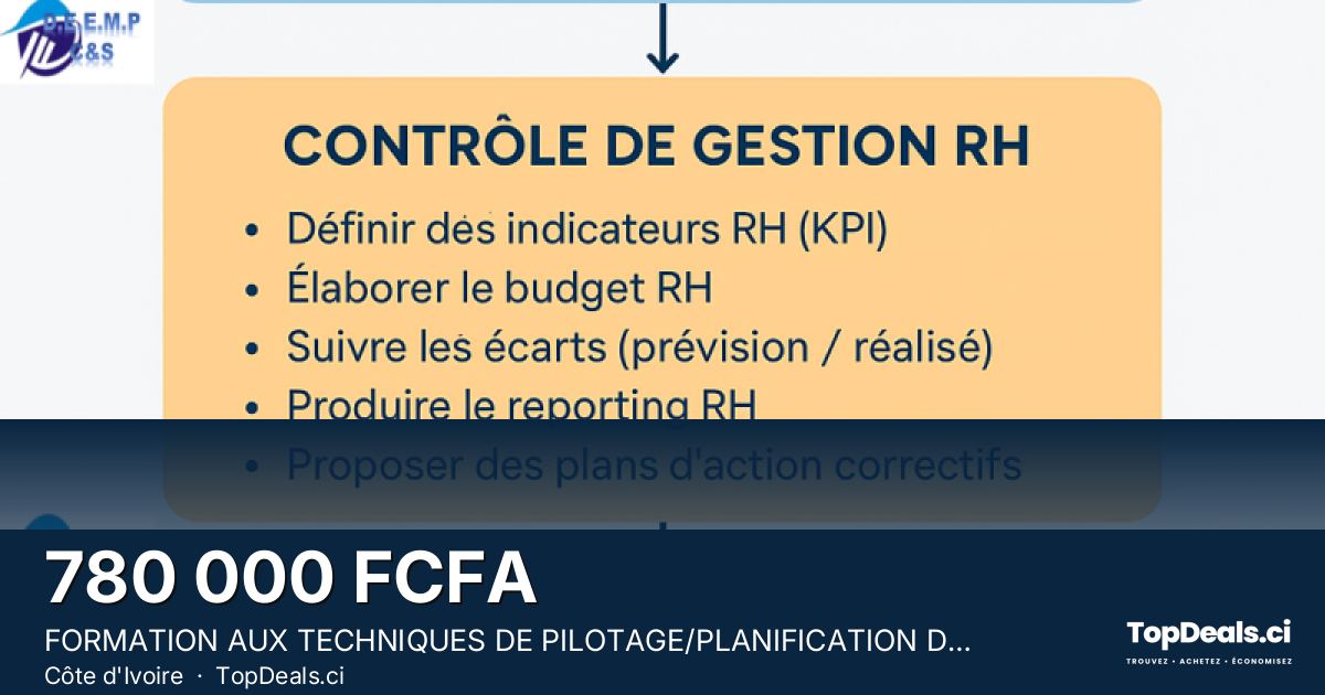 Aperçu du partage – FORMATION AUX TECHNIQUES DE PILOTAGE/PLANIFICATION DE LA FONCTION RH