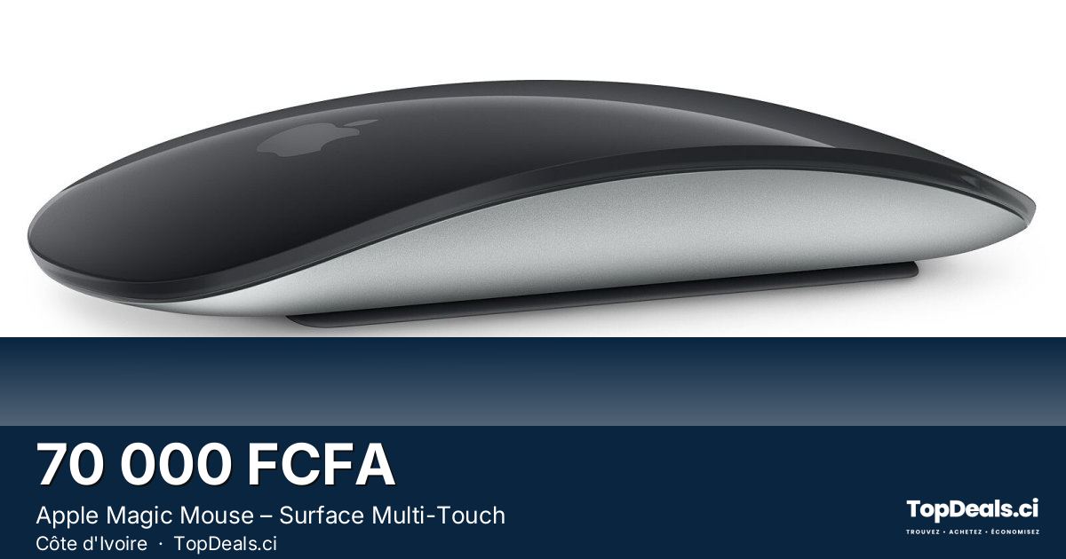 Aperçu du partage – Apple Magic Mouse – Surface Multi-Touch