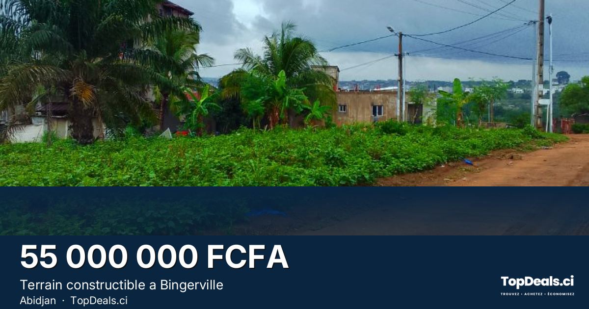 Aperçu du partage – Terrain constructible a Bingerville 