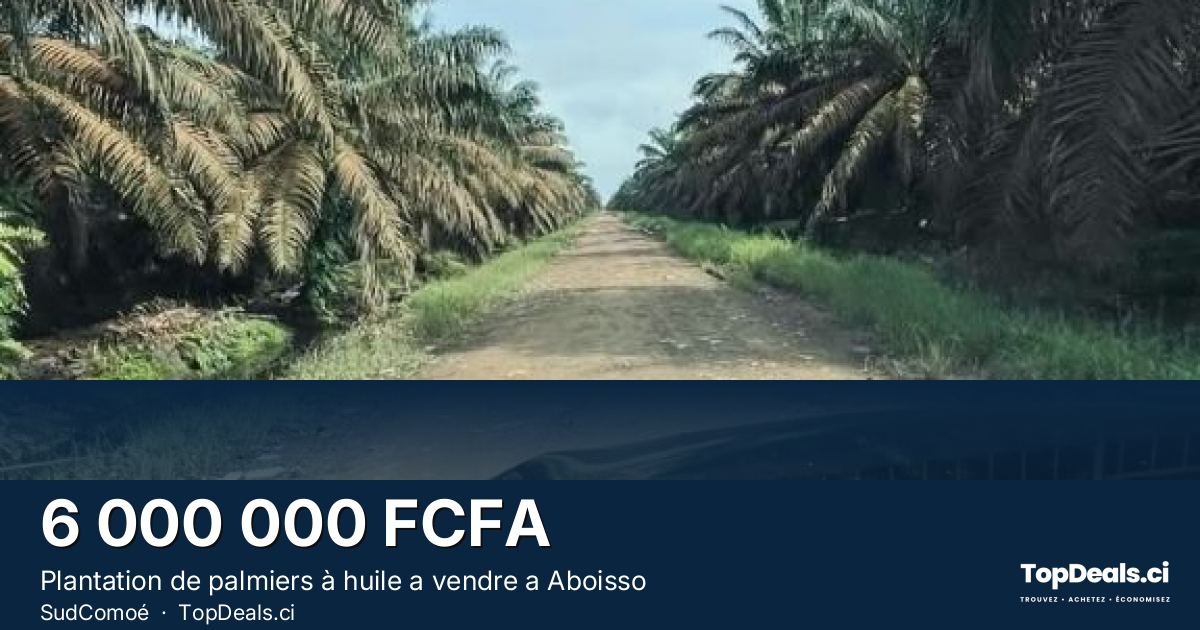 Aperçu du partage – Plantation de palmiers à huile a vendre a Aboisso