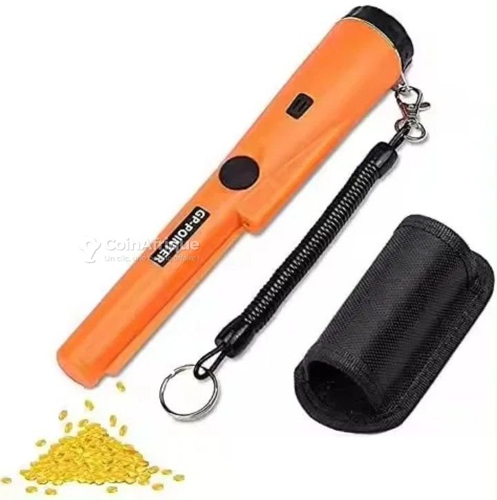 Détecteur gp-pointer
