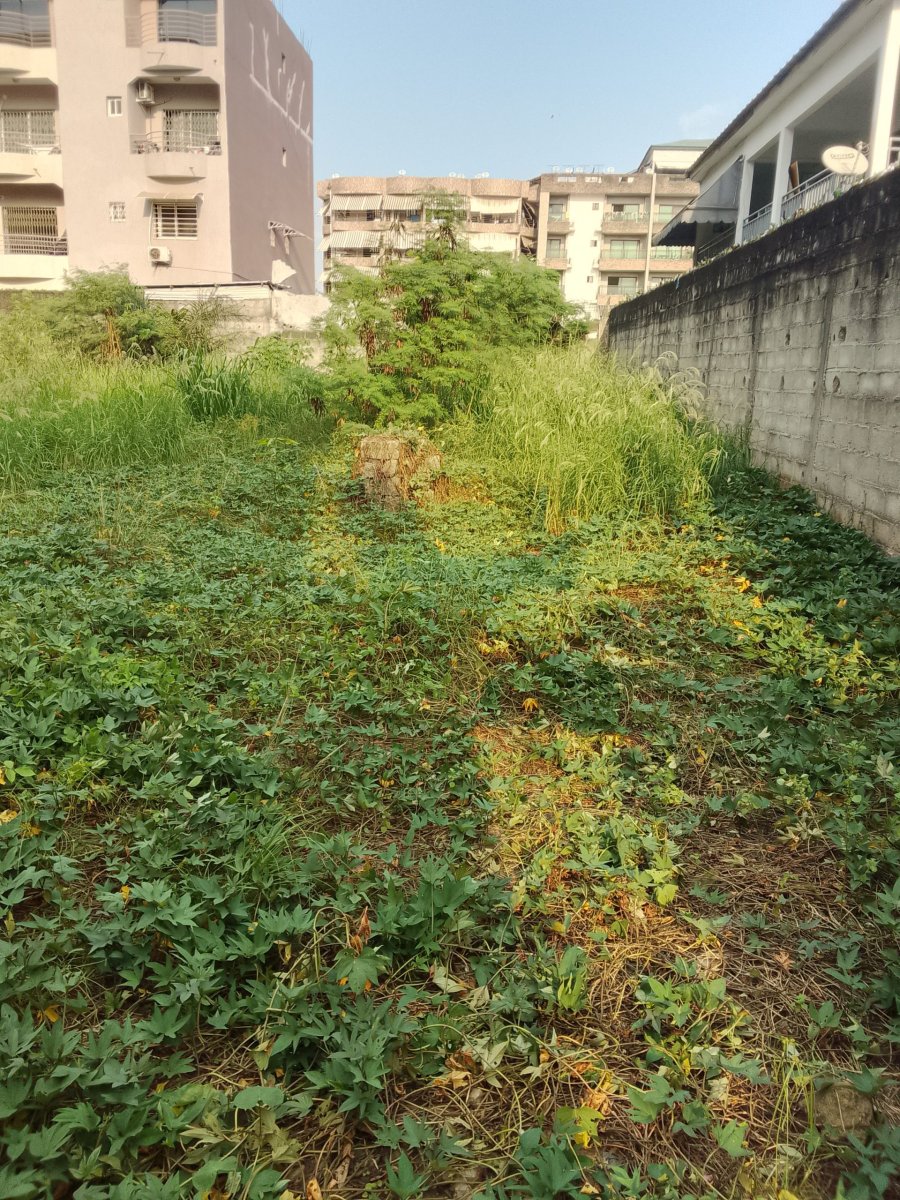 Miniature 4