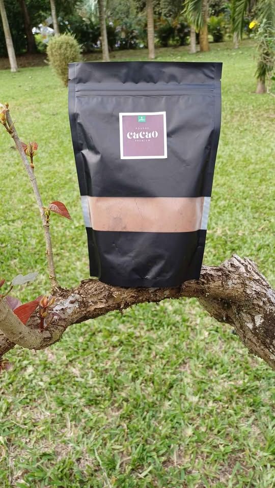 Poudre de Cacao Bio de Qualité Supérieure