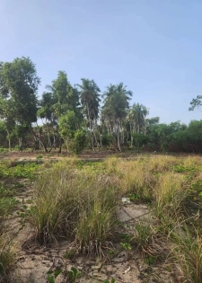COTE DIVOIRE ASSINIE MAFIA  EN VENTE  TERRAINS