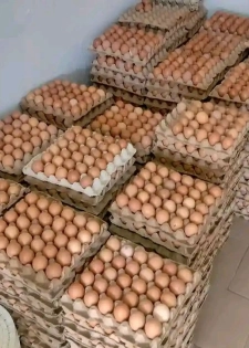 Œufs frais Abidjan - Livraison gratuite - Prix imbattables