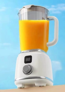 Mini Blender mixeur