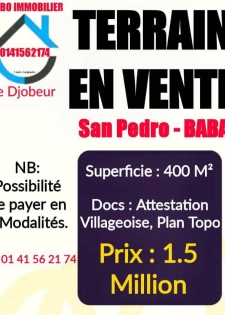 🌍 Terrain en vente – San Pedro (Quartier Baba)  