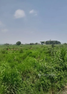 Terrain 2,43 hectares - zone industrielle Yopoigon pk24