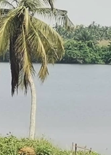 Un lot d’un Hectare pied dans l’eau a Assinie mafia
