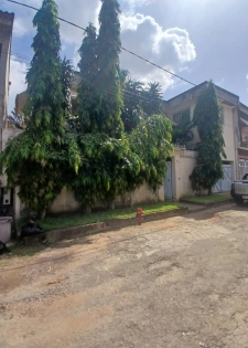 Villa duplex aux rosiers Pro 5