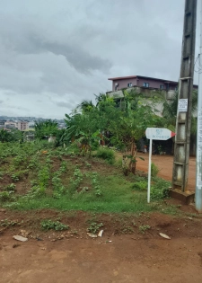 2 lots a Acd a vendre a Bingerville