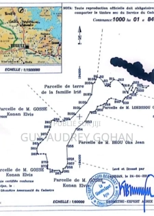 Vente De 1.000 Hectares Avec Cf Disponible