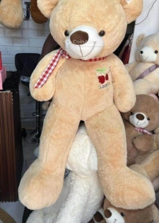 Peluches grande taille