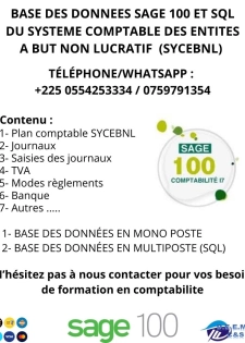 BASE DES DONNEES SAGE 100 ET SQL Comptabilité, Operationnelle