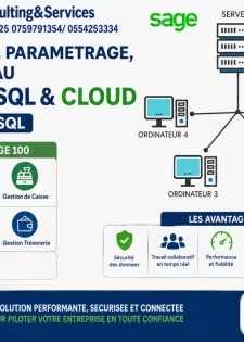 INSTALLATION, PARAMETRAGE, MISE EN RESEAU SAGE 100 SQL et MICROSOFT SQL