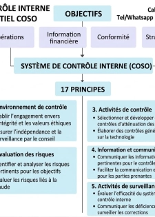 Mise en place ou a jour d'un dispositif de contrôle interne avec COSO