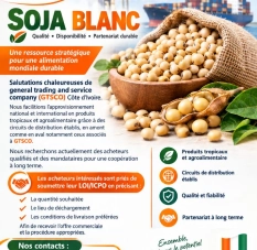 Soja blanc recherche d'acheteurs qualifiés campagne Côte d'Ivoire 