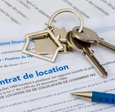 Terrain constructible à Bingerville - Recherche