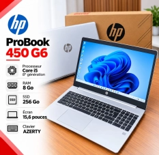 HP ProBook 450 G6 i5 8Go 256Go SSD AZERTY